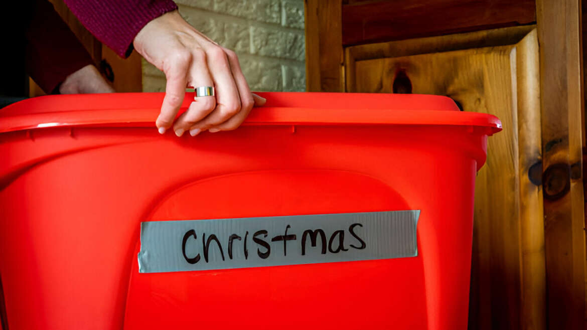 Seasonal Storage Solutions for the New Year: Declutter with Ease